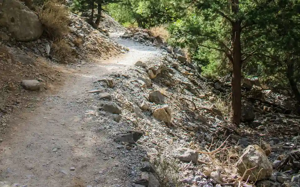 Forest path in Crete's White Mountains in autumn
